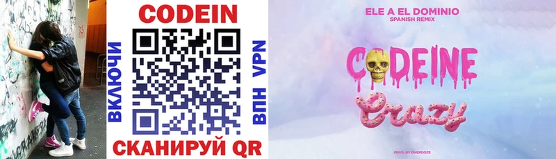 продажа наркотиков  Новомичуринск  Codein напиток Lean (лин) 