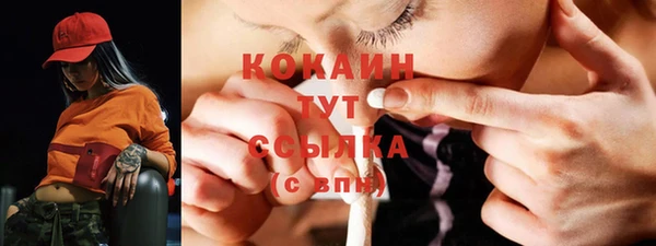 spice Няндома