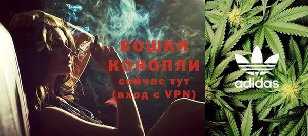 spice Няндома