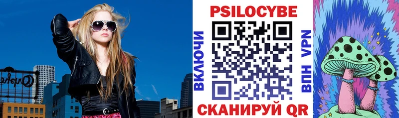 Галлюциногенные грибы Psilocybe  Новомичуринск 